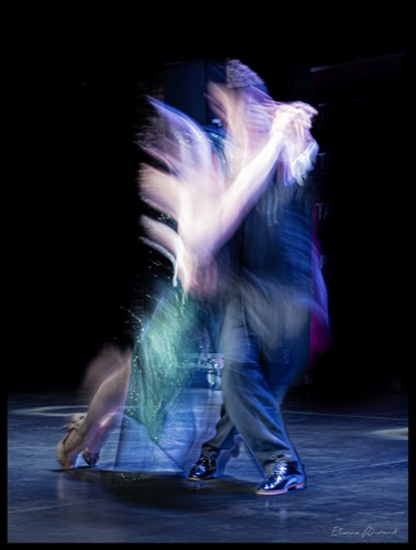 Danser #13, 2026