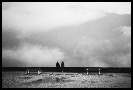 Figure #8, 2012