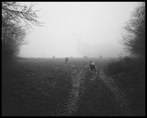 Le photographe #3, 2016