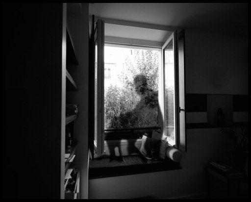 Memento mori #2, 2015
