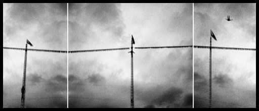 Plongeurs, 2015